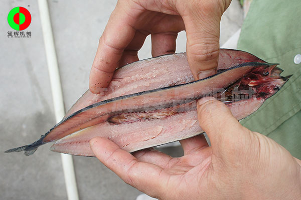 魚類開邊機(jī)