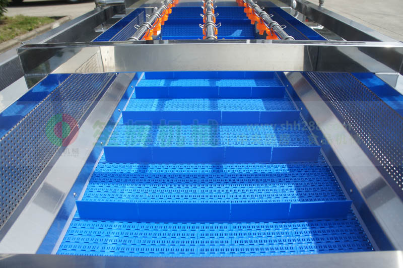 全網鏈輸送洗菜機