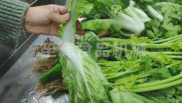 無損清洗機(jī)