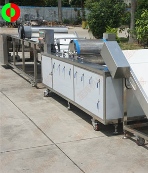 國外客戶訂制的藍莓自動清洗分選生產(chǎn)線順利生產(chǎn)完成測試中!