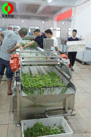 客戶親臨我司實地考察工廠及蔬果切割清洗生產線設備!