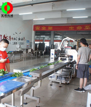 枕式蔬果包裝生產(chǎn)線,客戶現(xiàn)場測試驗收！