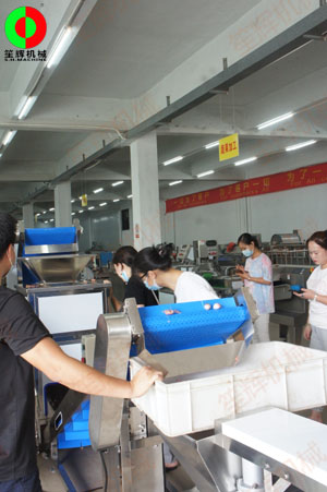 惠州客戶王小姐親臨我司測試洋蔥脫皮及切碎設(shè)備！