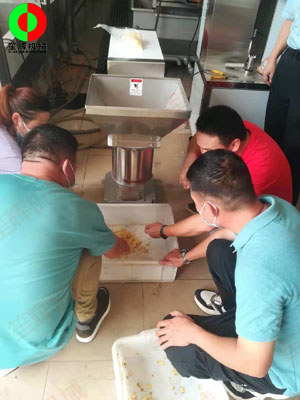 江門客戶謝先生親臨我司測試生姜清洗脫皮及打碎設(shè)備！