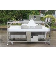 甘蔗清洗機(jī)/大型洗甘蔗機(jī)QM-2(視頻)