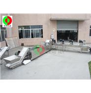 多功能洗菜機/洗菜機生產線/切菜-洗菜-風干生產線(視頻) 多功能洗菜機/洗菜機生產線/切菜-洗菜-風干生產線(視頻)